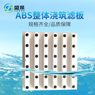 ABS整体浇筑滤板